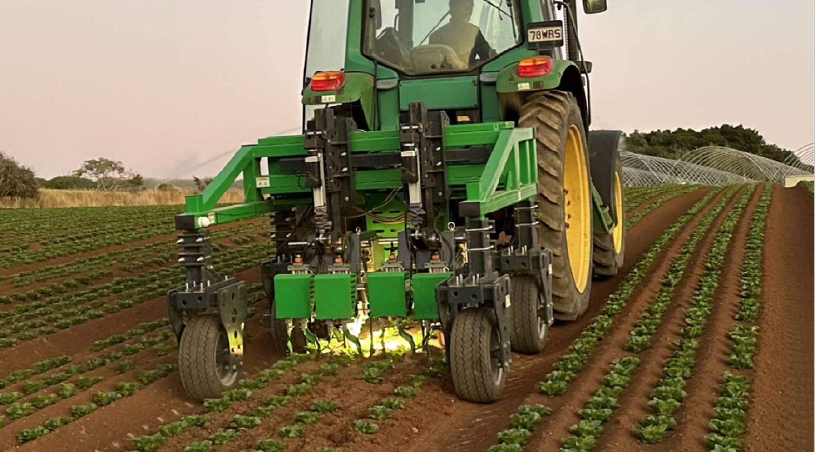 BearClaw Spearman robotic cultivator working a row-crop field
