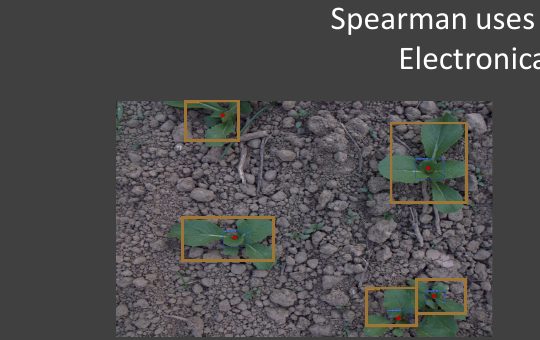 Deep learning weed detection overlay showing identified weed locations in a field